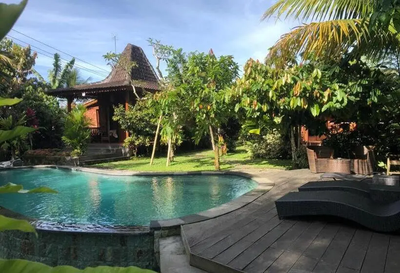 プールの見えるデラックスルーム, Mirah Guest House