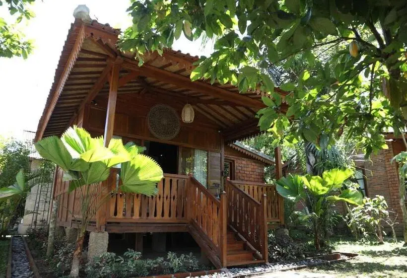 プールの見えるデラックスルーム, Mirah Guest House