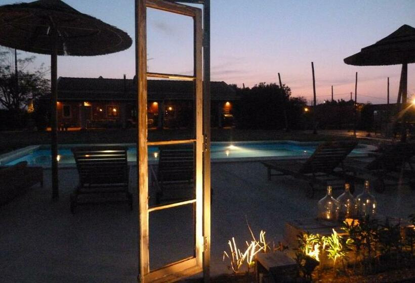 スタンダードルーム, Quinta Dos Doze Sobreiros Quarto Sol