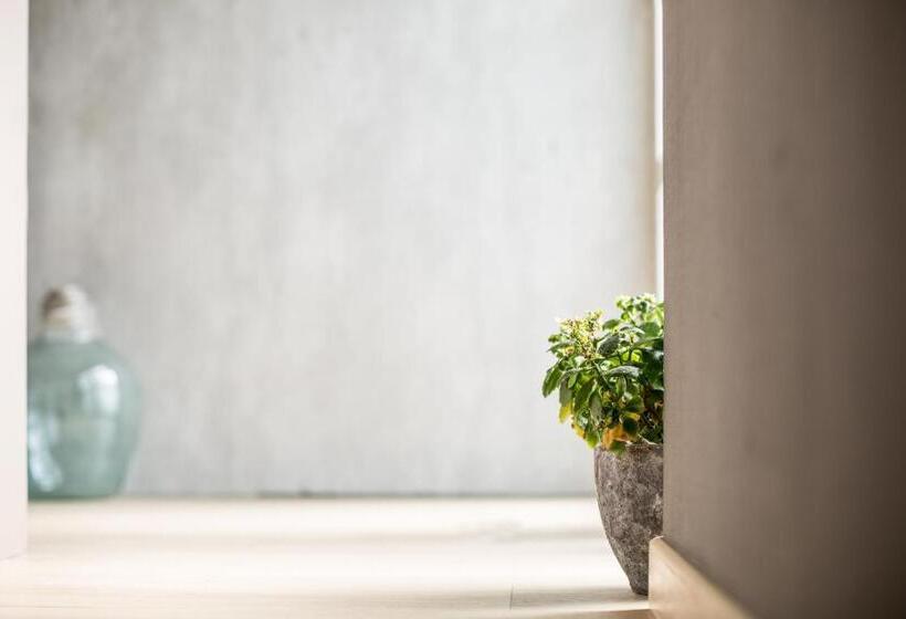 סוויטה, Reve Gourmand