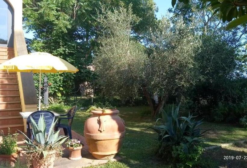 استودیو استاندارد با چشم‌انداز باغ, Casa Del Sole