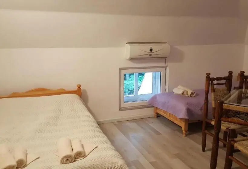 Economy Quadruple Room, & Restaurant Kotel