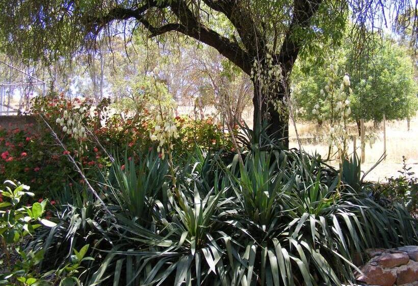 标准间, Trevalia Accommodation