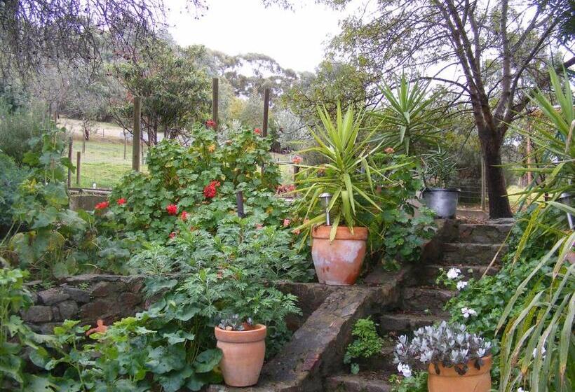 标准间, Trevalia Accommodation