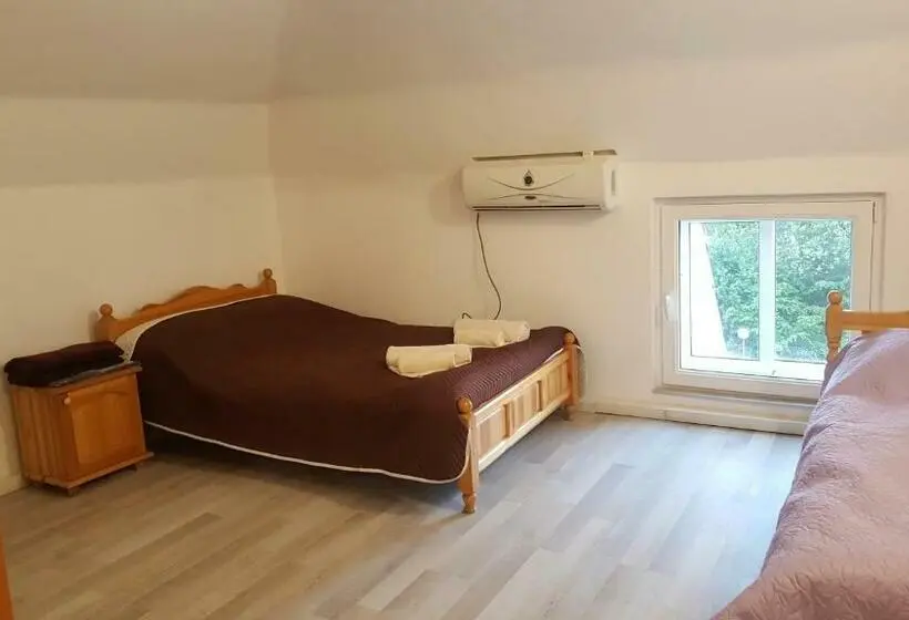 Economy Triple Room, & Restaurant Kotel