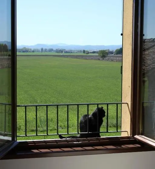 ガーデンビュースタンダードルーム, La Casa Dei Gatti