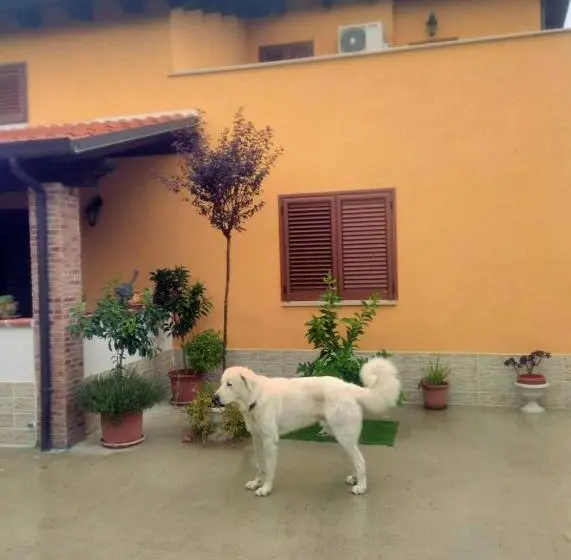 اتاق استاندارد, La Casetta