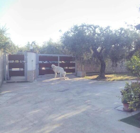 اتاق استاندارد یک نفره, La Casetta