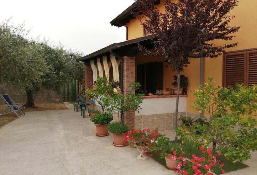 スタンダードシングルルーム, La Casetta