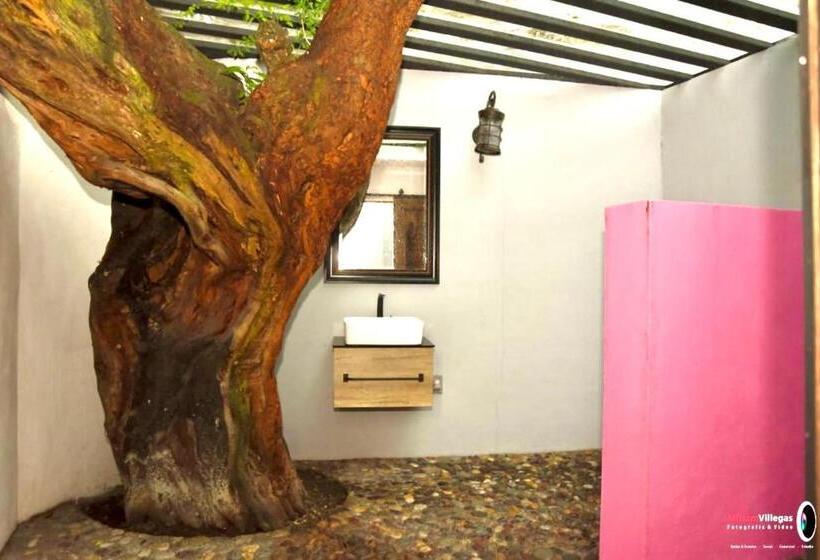 スタンダードルーム, Casa De Las Luciérnagas