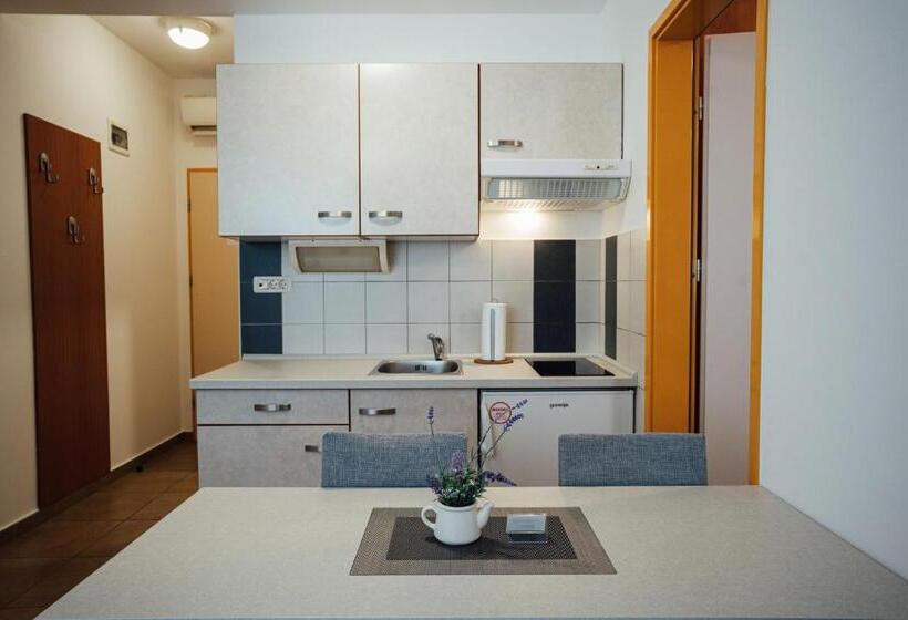 استودیوی استاندارد, Sobe Rooms Nataly