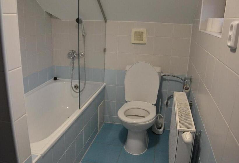 غرفة قياسية حمام مشترك, Penzión Dinda