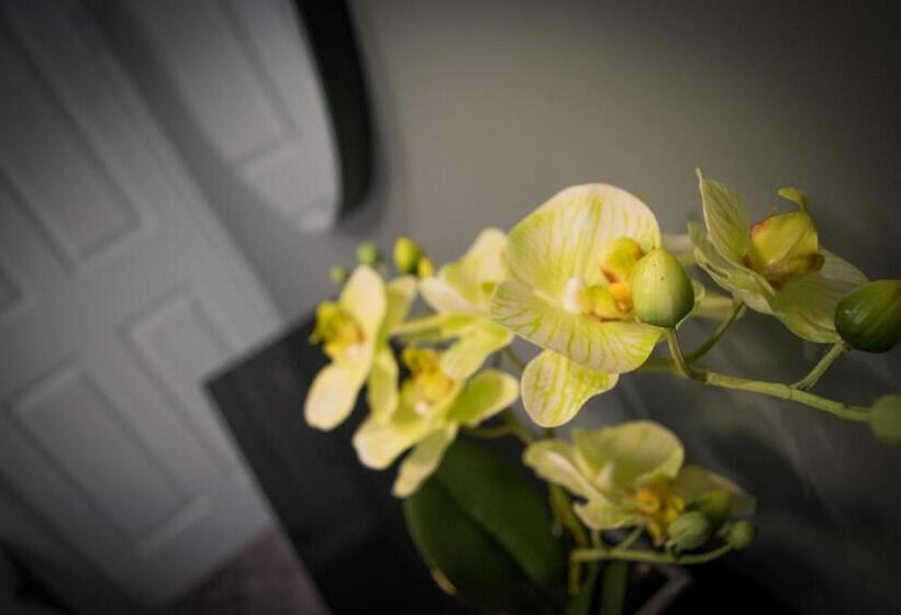 ベーシックルーム, Topper S Rooms Guest Accommodation