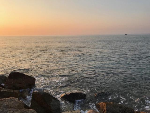 آپارتمان 1 خوابه با چشمانداز باغ, Pmy Beach Resort