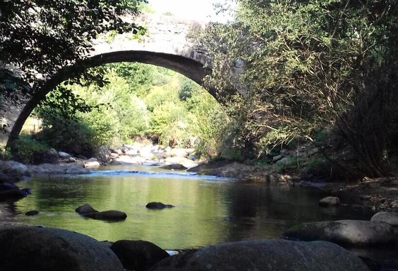 Номер Стандарт, Chez Claire