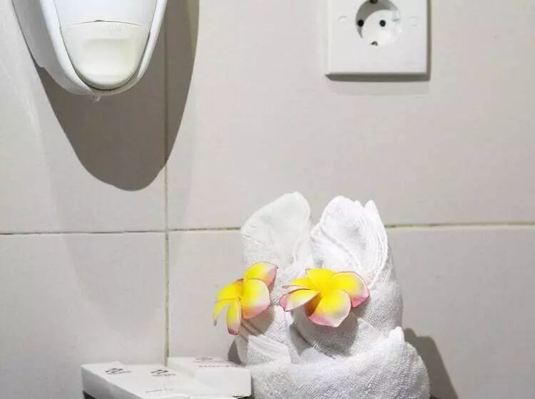 اتاق کلاسیک, Baleka Resort & Spa