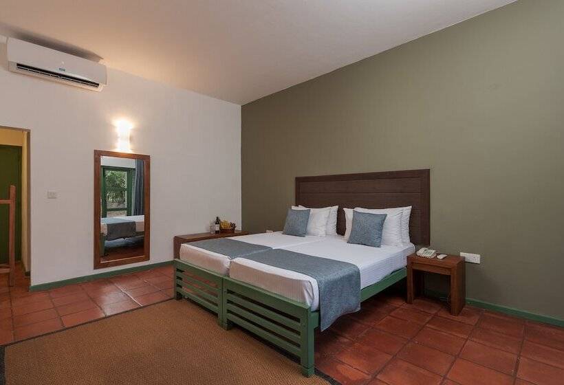 デラックスルーム, Elephant Reach