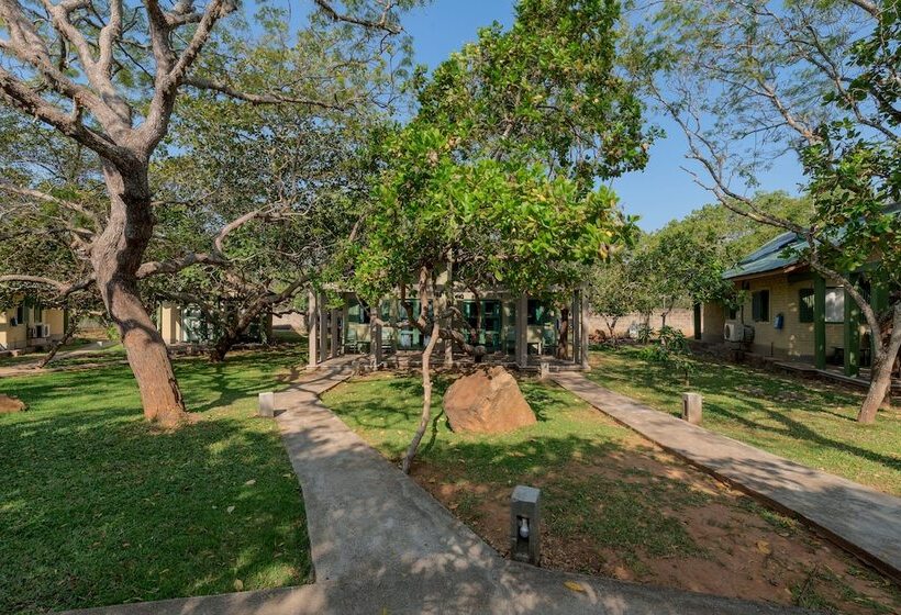 シャレー1寝室, Elephant Reach