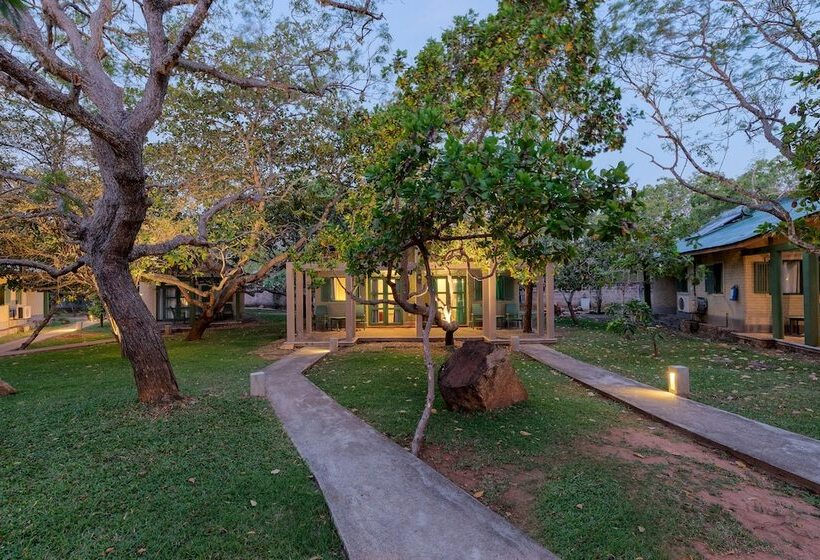 シャレー1寝室, Elephant Reach