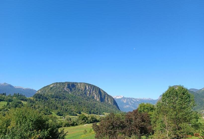 آپارتمان 1 خوابه با چشمانداز باغ, Apartmaji Hodak