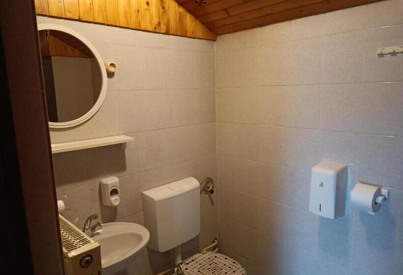 آپارتمان 1 خوابه با چشم‌انداز باغ, Apartmaji Hodak