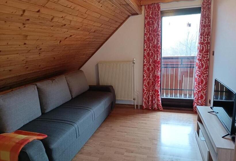 آپارتمان 1 خوابه با چشمانداز باغ, Apartmaji Hodak