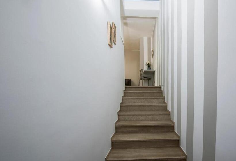 豪华工作室, Il Guscio