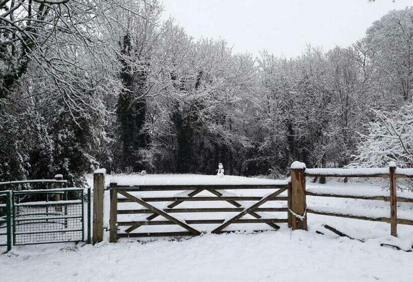 スタンダードルーム, The Studio Hatfield