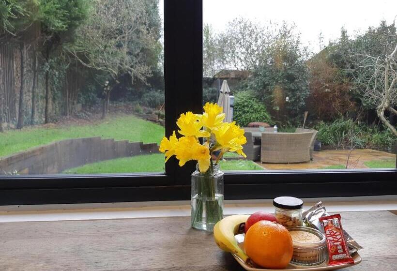 ガーデンビュースタンダードルーム, The Studio Hatfield