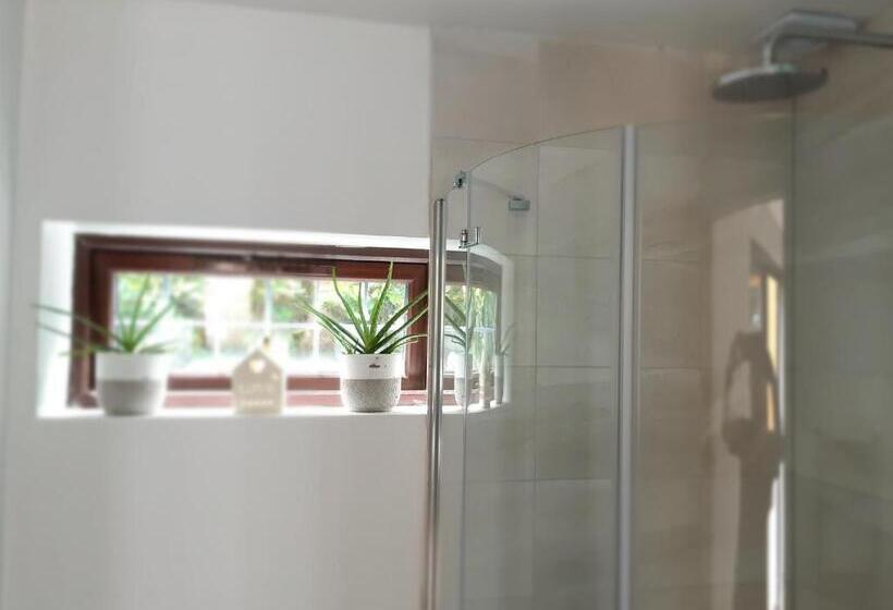 スタンダードルーム, The Studio Hatfield