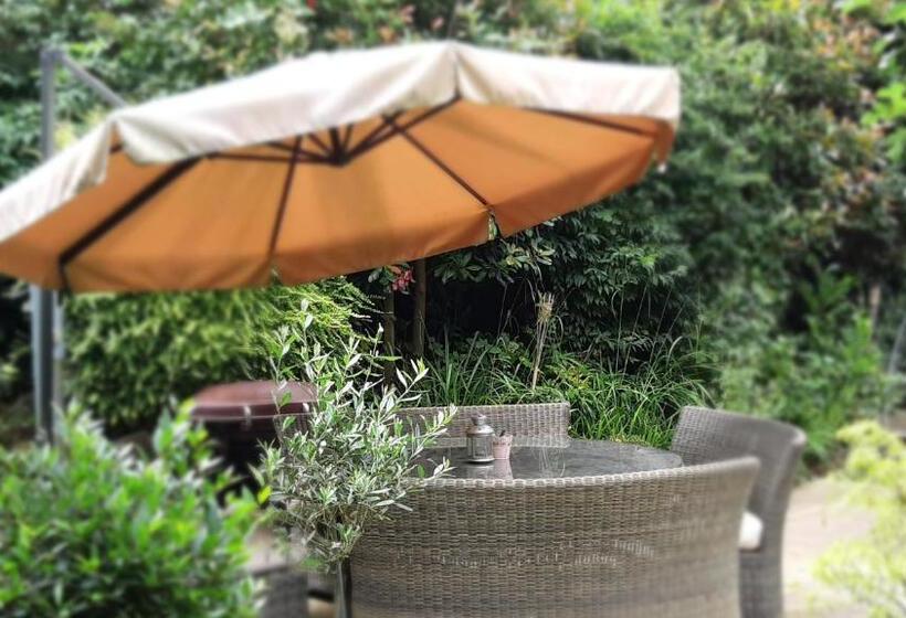 スタンダードルーム, The Studio Hatfield