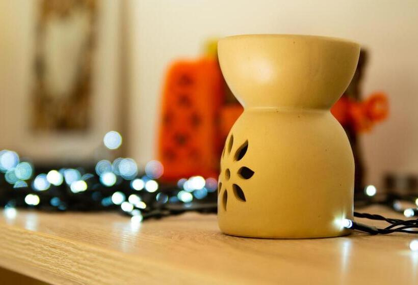 スタンダードルーム, The Studio Hatfield