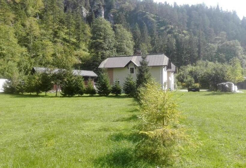 غرفة قياسية, Penzion Black Sheeps Adventures