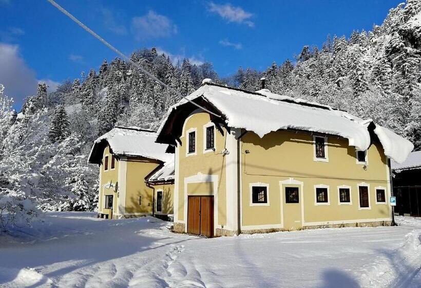 منزل غرفة نوم واحدة, Penzion Black Sheeps Adventures