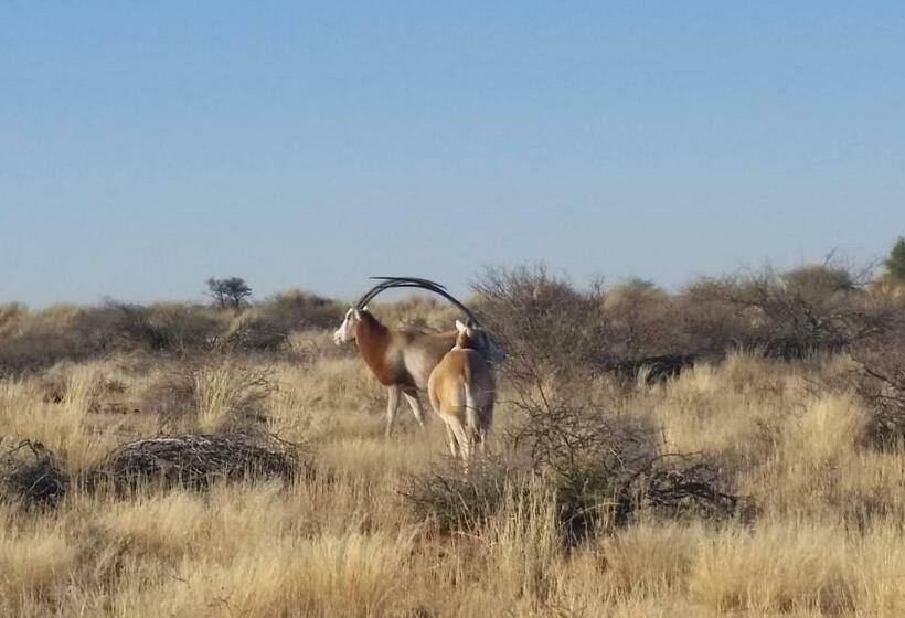 スイート（家族用）, Loch Maree Guest Farm & Field Camp