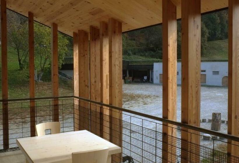 スタンダードルーム, Vintlerhof