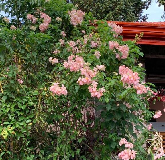 بانگلوی استاندارد, Powers  Holiday Vacations