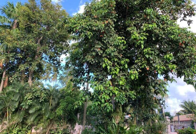 بنجلو قياسى, Powers  Holiday Vacations