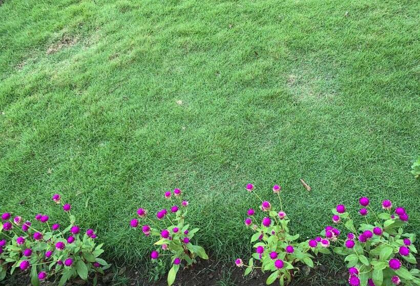 سوییت لوکس, Powers  Holiday Vacations