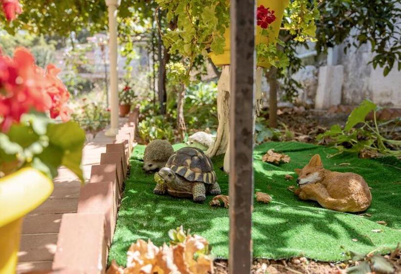 غرفة قياسية, Villa Salvatore