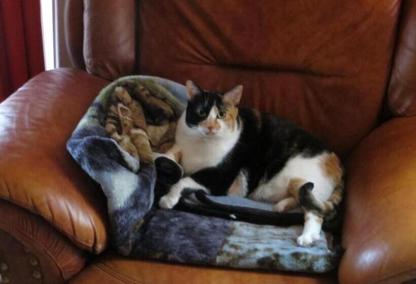 Стандартный Номер Кровать Кинг, La Maison Sous Les Arbres