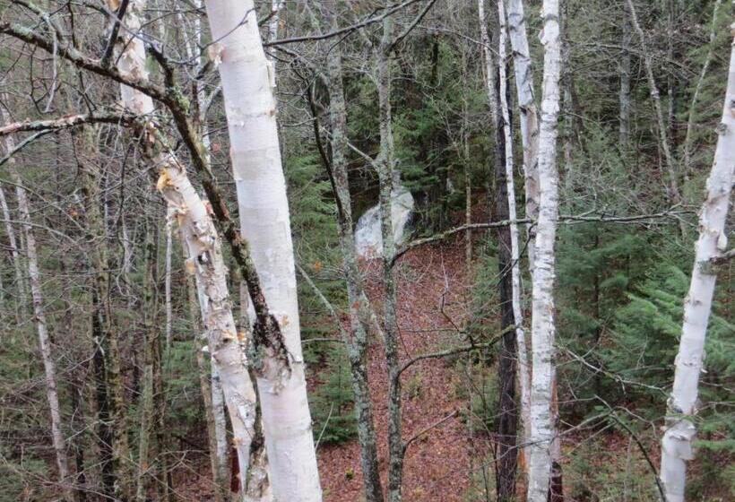 Стандартный Номер Кровать Кинг, La Maison Sous Les Arbres