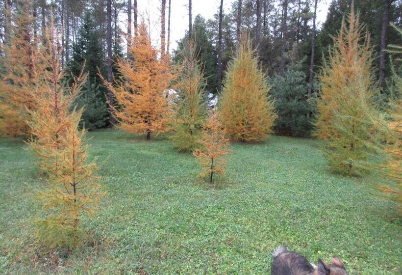 Шале 1 Спальня, La Maison Sous Les Arbres