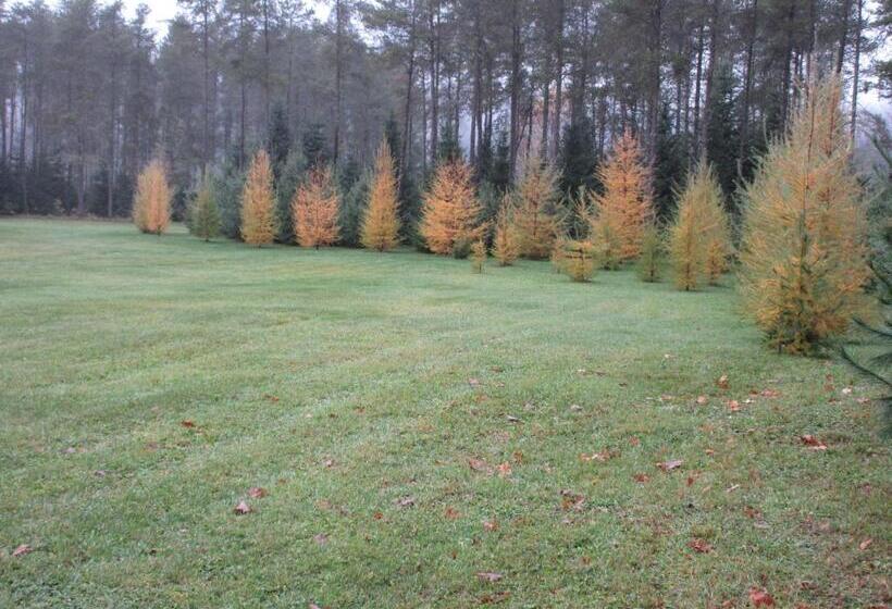 Шале 1 Спальня, La Maison Sous Les Arbres