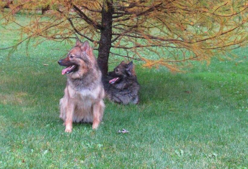 Шале 1 Спальня, La Maison Sous Les Arbres