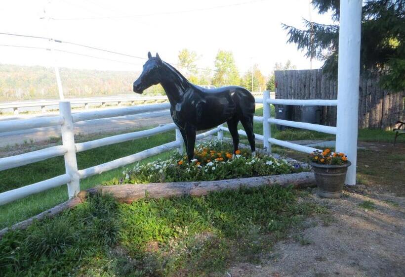 Стандартный Номер Кровать Кинг, La Maison Sous Les Arbres