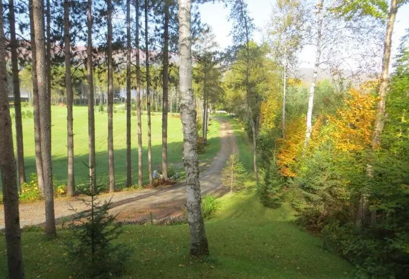 キングサイズベッドのスタンダードルーム, La Maison Sous Les Arbres