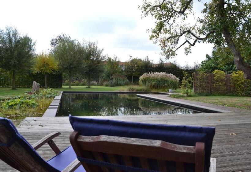 スタンダードルーム, Vijverhoef