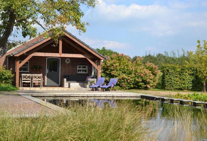 1ベッドルームハウス, Vijverhoef