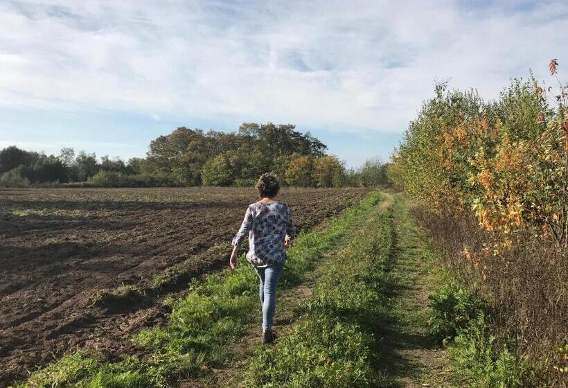 1ベッドルームハウス, Vijverhoef